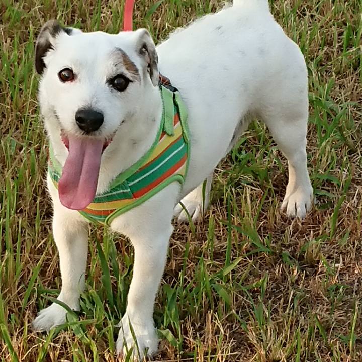 890f6ae4 2f92 4a36 9cf4 cfbf608cf358 1533946377545