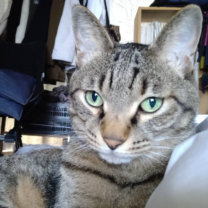 890f9963 b645 4c7a b257 3da22b33ea09 1688259713045