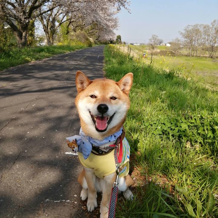 890fa2af c5de 42ea 83fa c60ab0a991cd 1585990292493