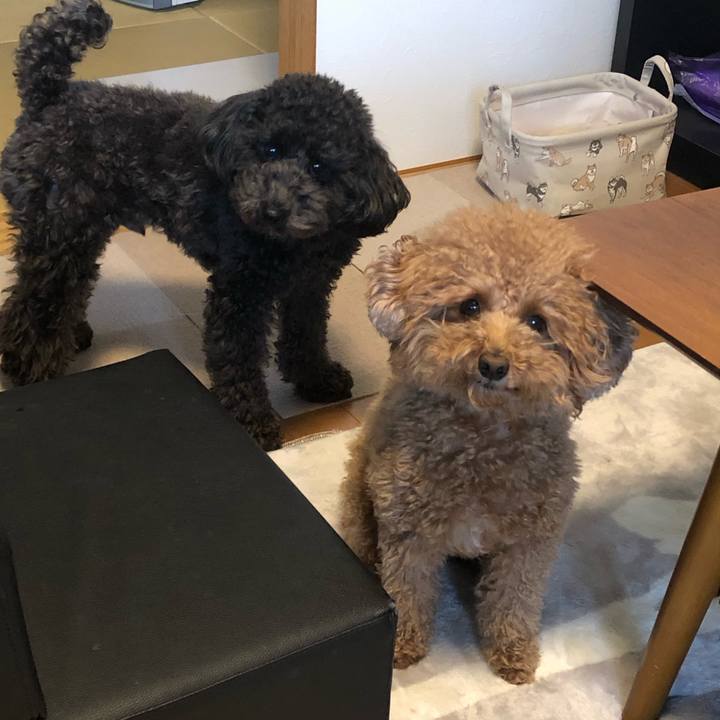 890fc25c bb08 4f9f 8f44 398f4baafc19 1579320602463