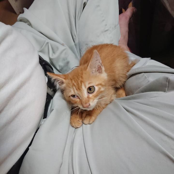 890fe3de e443 4195 97e8 9037ec2441cb 1628243694510