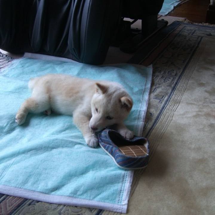 890ff321 3f86 430f 9f9f 66d2438f7251 1665227741282