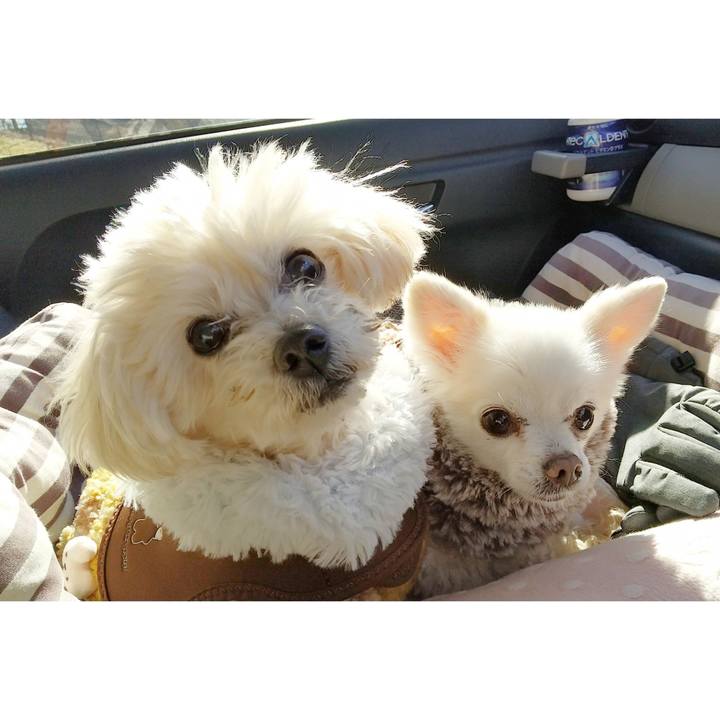 890ff72c fa94 45fc bc83 a2cda9b810cc 1672915643862