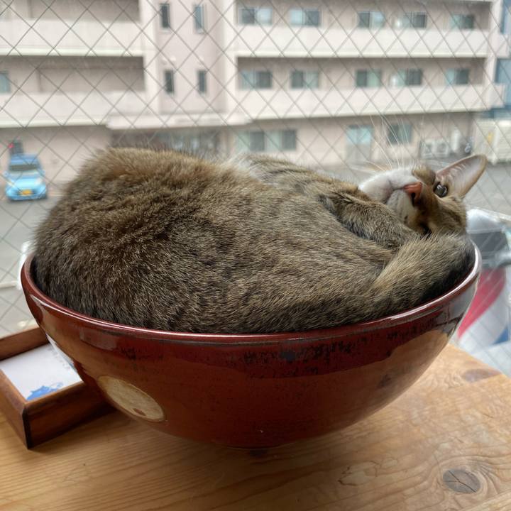 89100a79 4b33 43be b3da c13d9838b3b7 1689238197883