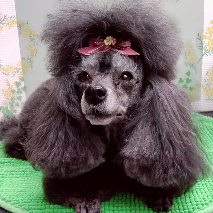 89102435 e9c9 438f 9502 34cd8c57ef48 1772533405315