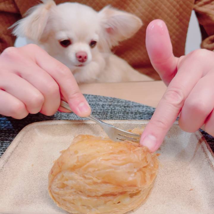 89103b1c 5a6b 41a0 a97c 7d8e686830eb 1704798672077