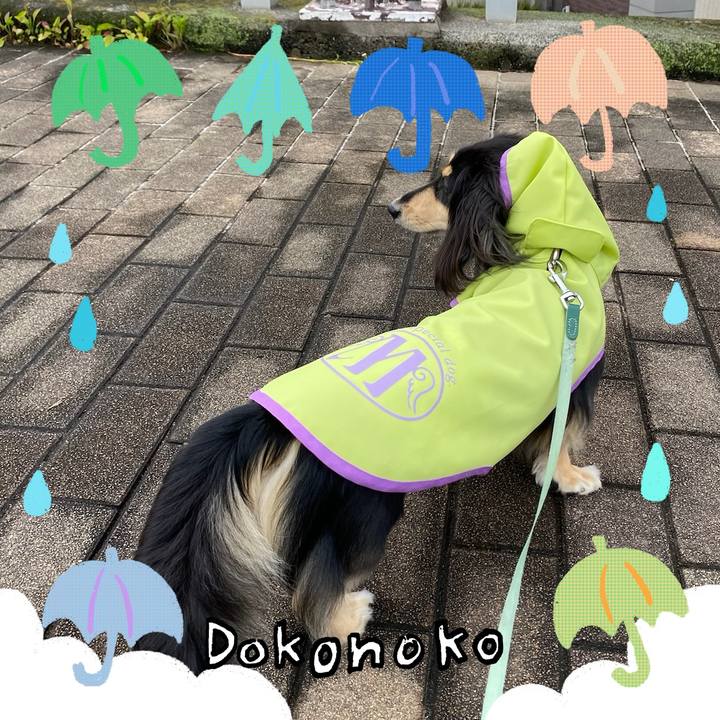 891049b8 b626 4c4d 96bb 94a500dc0963 1717577429744