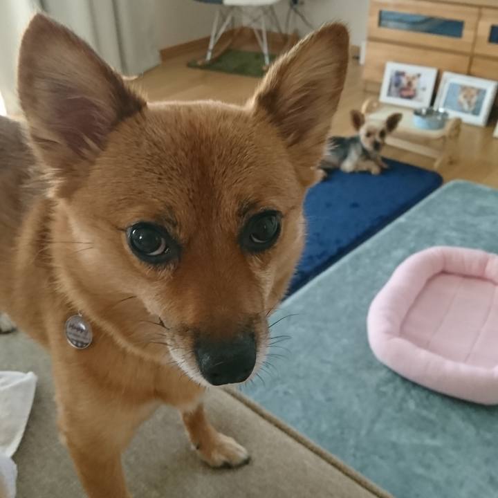 8910569c fa01 47b4 8285 bf8a4af4d56c 1533372846698