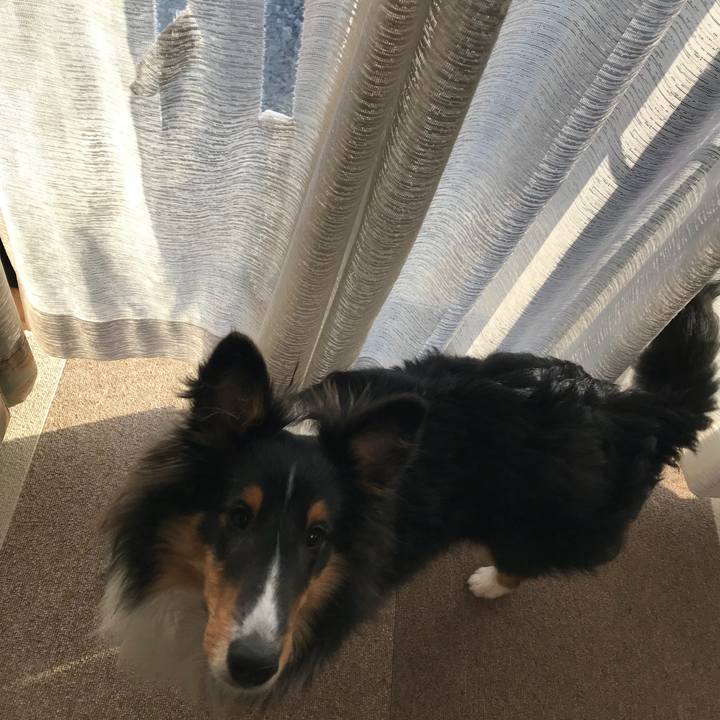 891060a1 1939 4c38 9154 0f49930c7eef 1521842356218