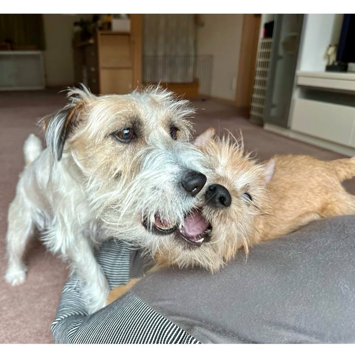 89107cc6 b20e 4ce3 8d6f 322ac95ded43 1705752067658