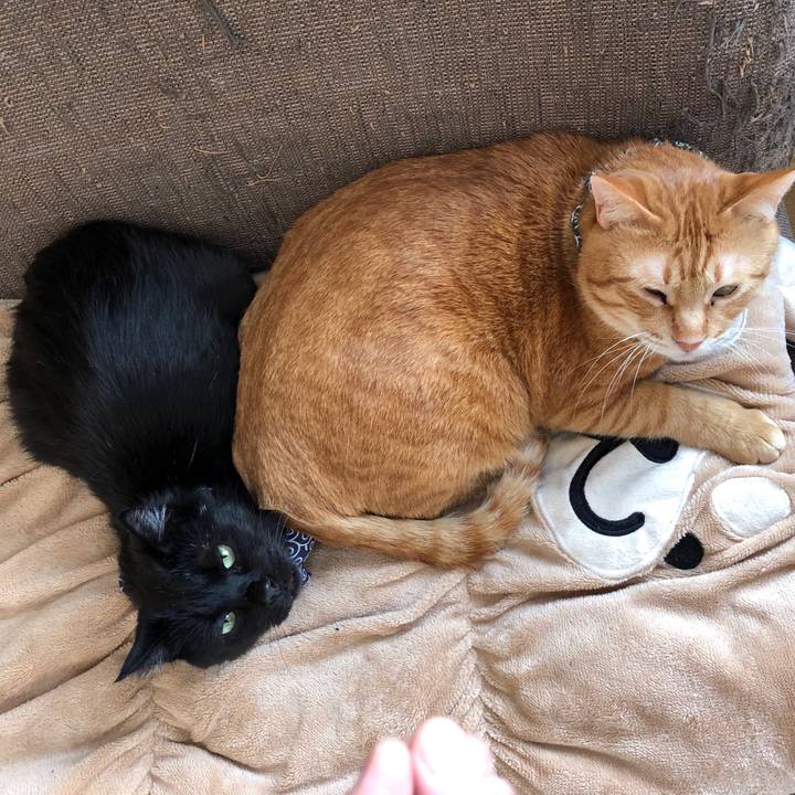 8910995c 9b02 4cc9 873d d2a16fe7feee 1554004807278