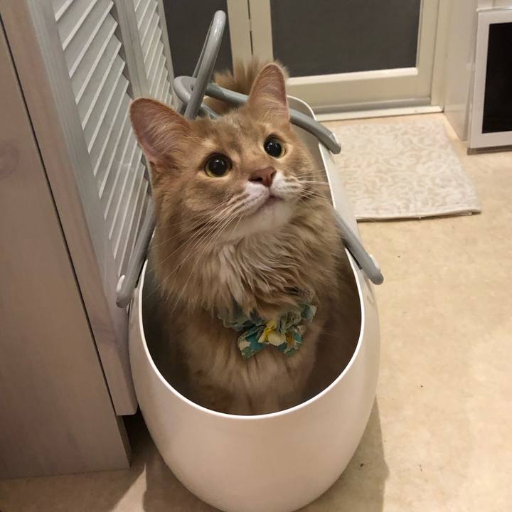 89110c59 cf0a 4a2f bafe 22351d8c5f99 1684282712608