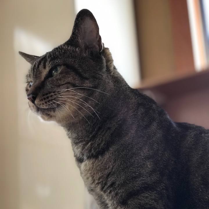 89112e06 2ce8 42c5 81d2 9ece7ee47484 1535243005184