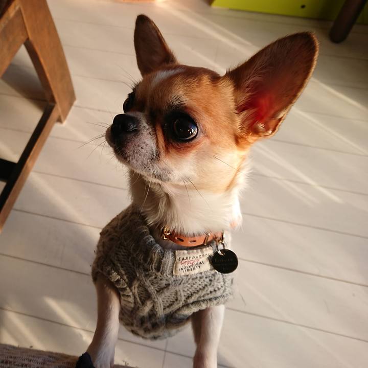 89115958 f480 4356 b20c 203dab29d3e4 1546072435197