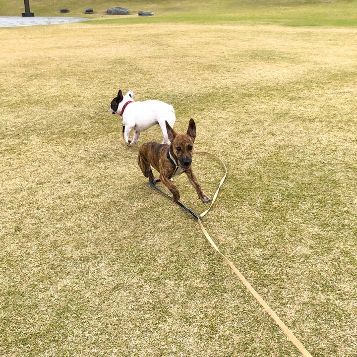 891192e8 23c0 4945 ba68 be5f648976a1 1573569383162