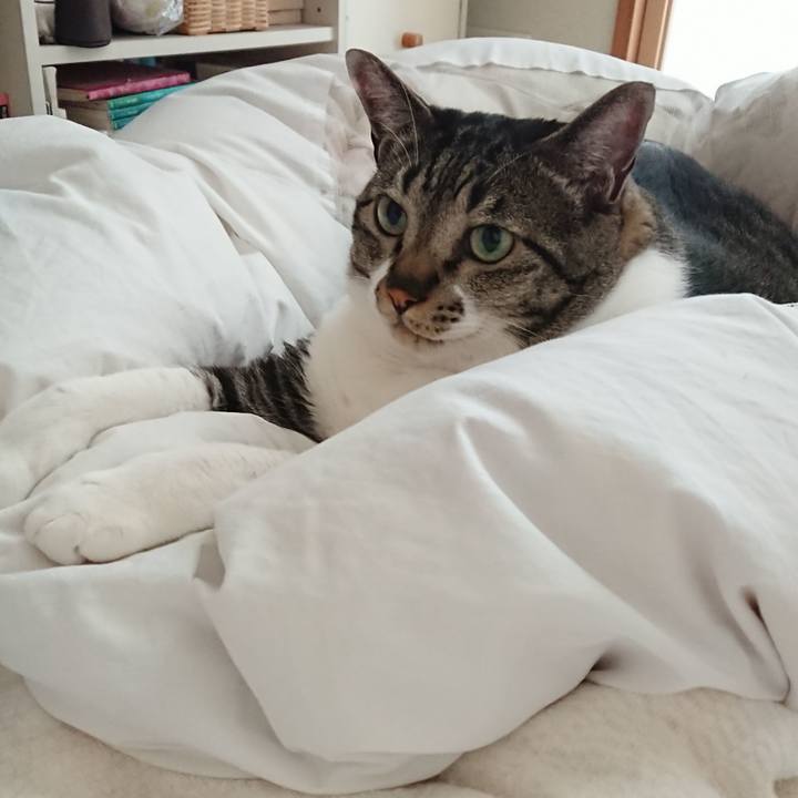 8911a385 f372 4213 829c 961f2492975c 1528844063991