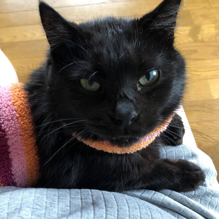 8911ad90 de08 4277 9399 6c936a111267 1588578704865