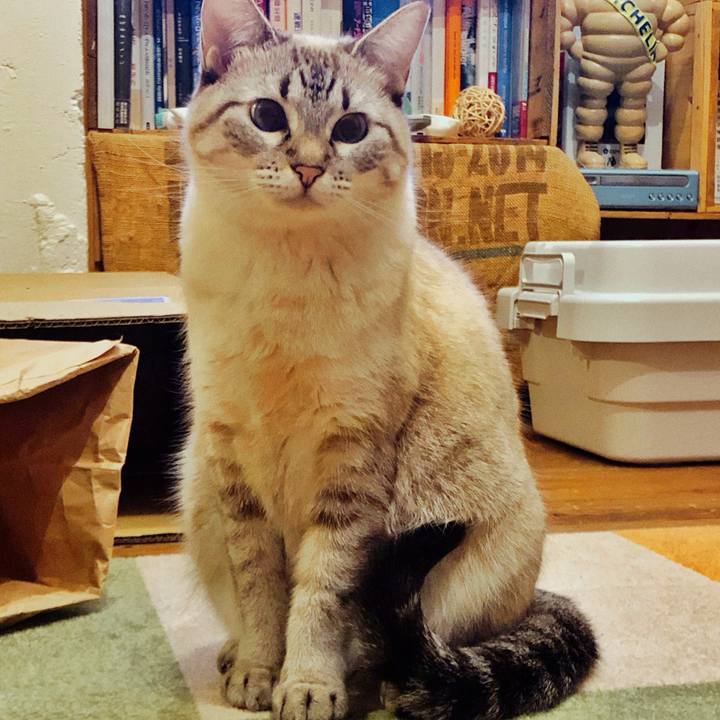 89120798 6e96 4e62 aef8 153f1d3c7823 1763730081582