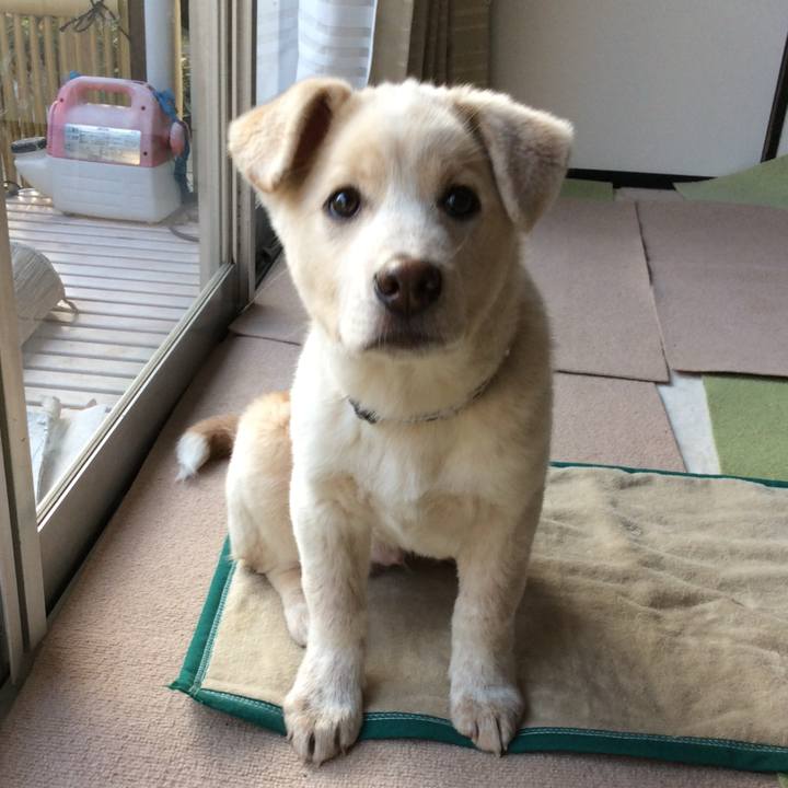 89122ca9 bf75 4c08 9671 67fef28740c9 1758614674712