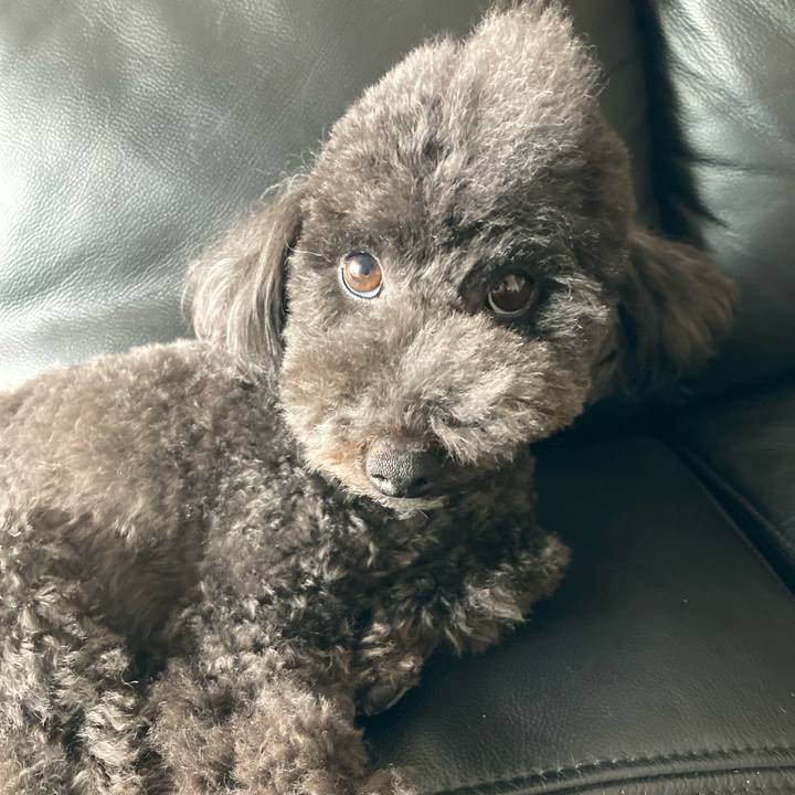 8912390e 3da9 4785 8c78 bb1d638871ce 1624798476581