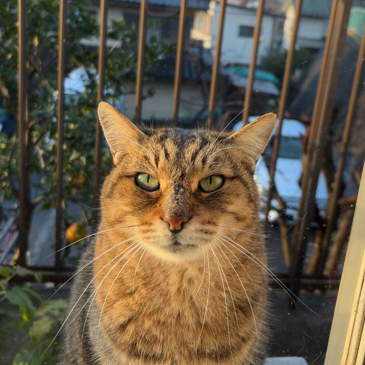 89126ad7 0b56 487b 9f52 530b11cf6a0f 1766618873713