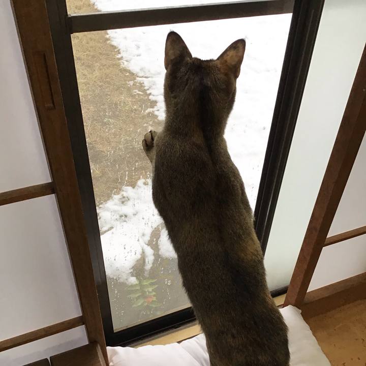 89127e6b baab 4663 ab4c 50c8469c248e 1577055227982