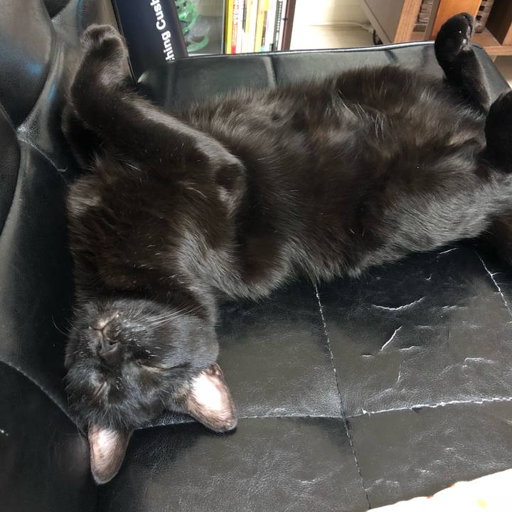 89128c5a 82c1 4491 a9ce c9adcd622756 1510229040791