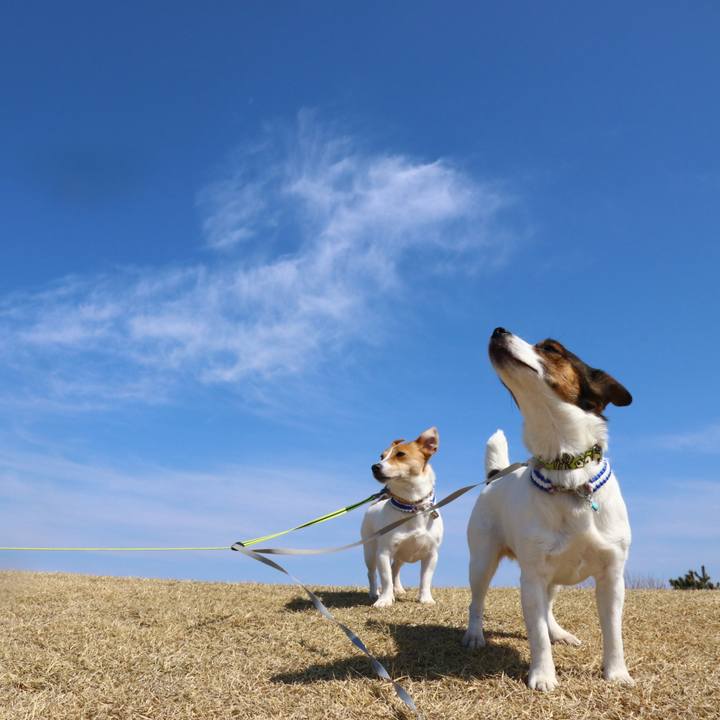 89128d38 4d29 42d1 a58a ab126017be88 1552721344375