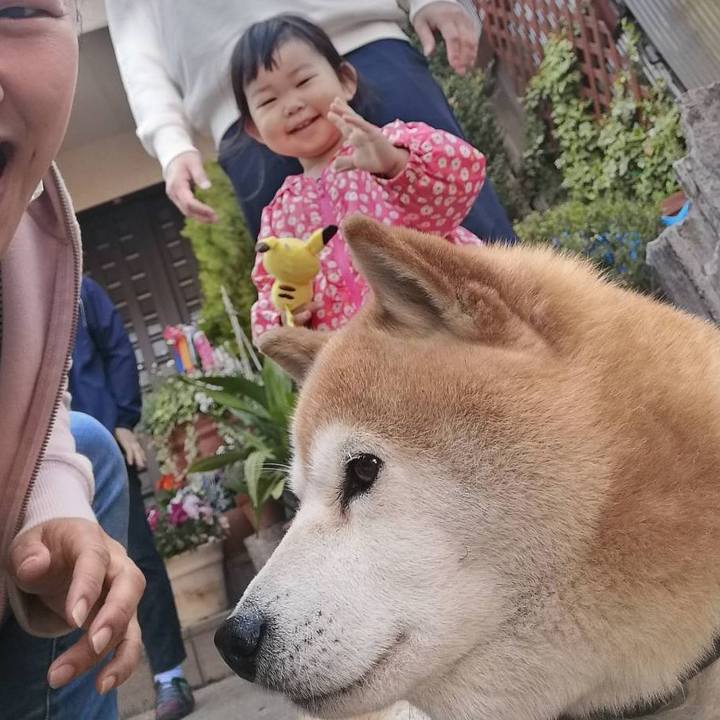 89129f59 1545 4fbd 8b26 d9e35e1ca81d 1651708203987