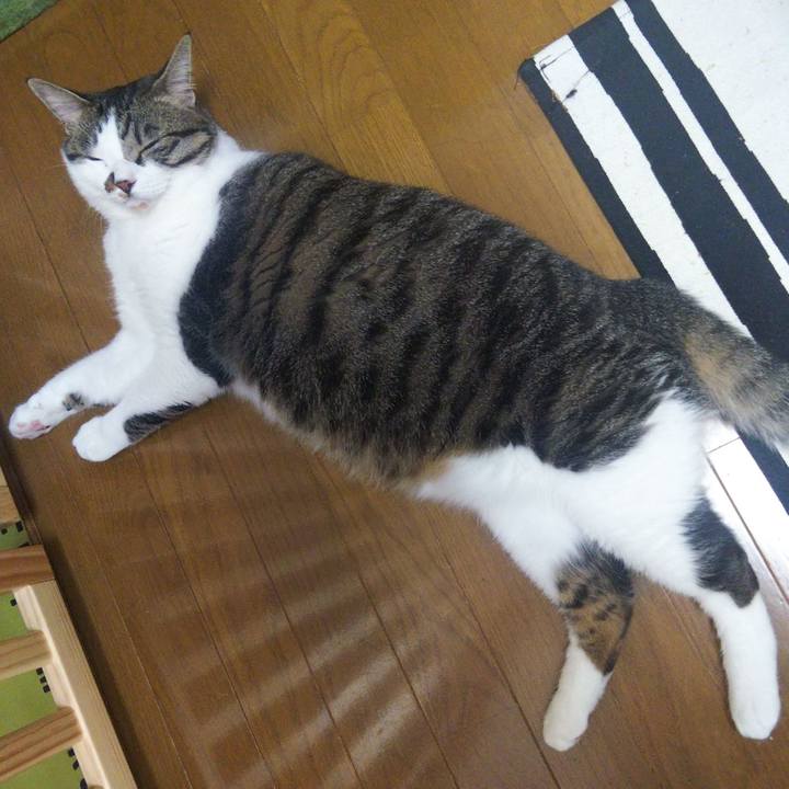 8912cd3a f1bc 4e00 8dbb bc953000472f 1656548324442