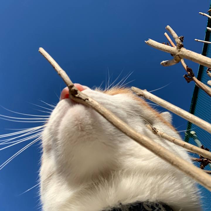 8912d467 e711 41fe 8835 9ce71fde6ac0 1578640738801