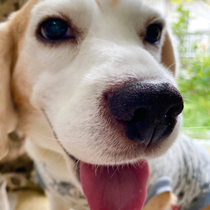 8912d8bc de3e 4ad3 bb59 8d5c98645d15 1600313622483