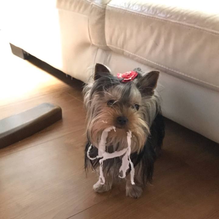 8913479a 93c8 488c b98c 9e0c15e45a73 1649563222419