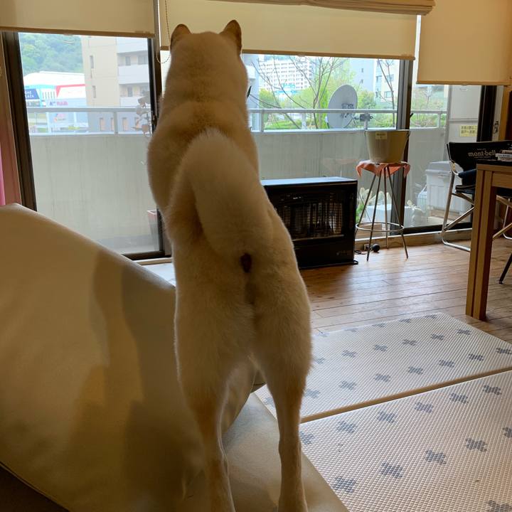 8913542f 57fa 4580 b53c 8a3f231b16cb 1555888499624