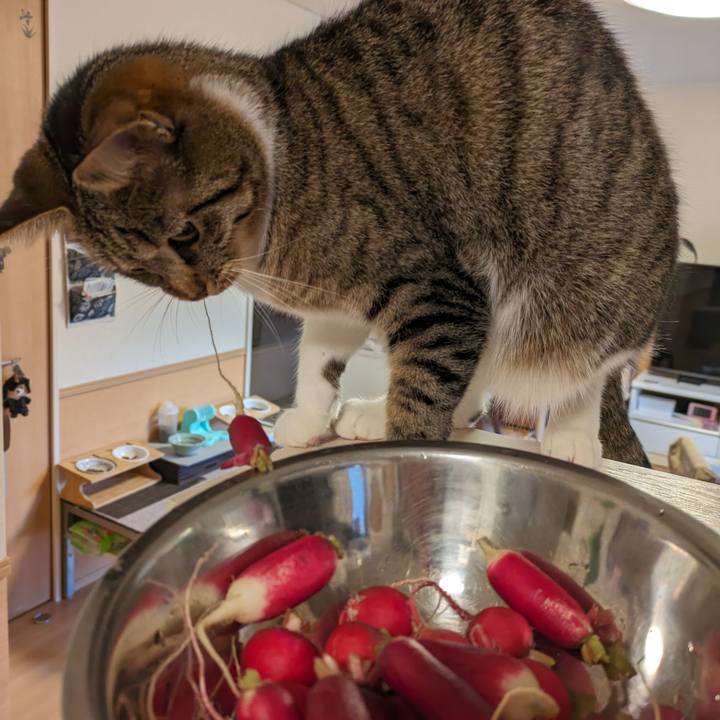 8913787d 1165 45f7 ab93 7f80c3c69983 1704322600002