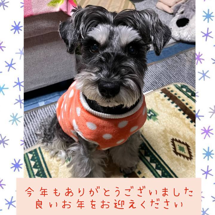 8913a1aa 4c21 4358 b07c e2da7c59adf7 1735650020412