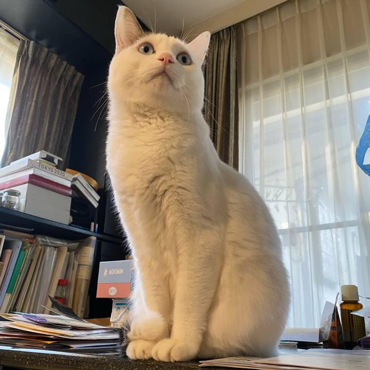 8913ab19 5008 4ddf 8538 7b2b1d5851f6 1735273487344