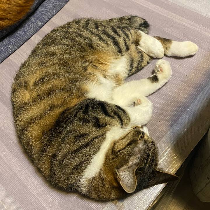 8913bec8 9b52 4e03 9b96 3ec629825b48 1624196666365