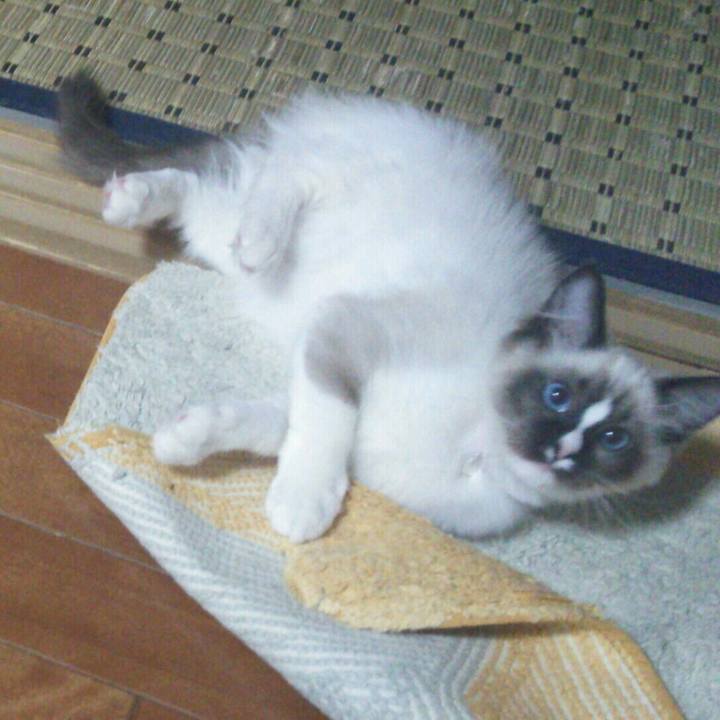 8913c4e1 ce7d 4856 815e 685edbebfde6 1532423949680