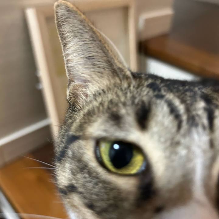 891401a3 804f 4060 9832 cffd5f8ebb8e 1761048890968