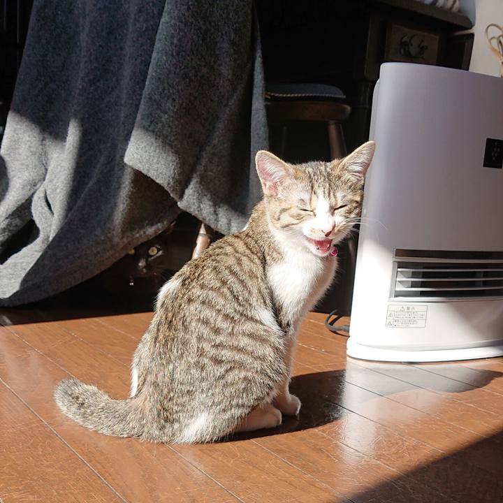 891422d5 924e 4f72 a2fb 9cd6f5d87e47 1547865758620