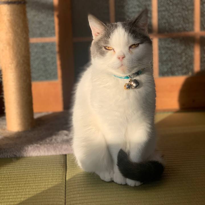 89144323 f16c 4aab 9e1d 7c8d8a9d6836 1701300686776