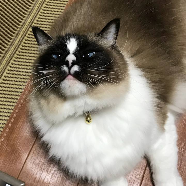 89146f4b 15f8 46eb 82c9 9e4594eae45d 1518784896558