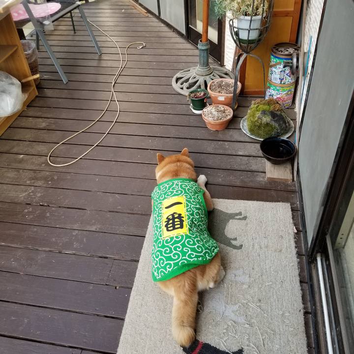 89147dfa 901b 4daf 8bc6 e80cde082a79 1583968202323