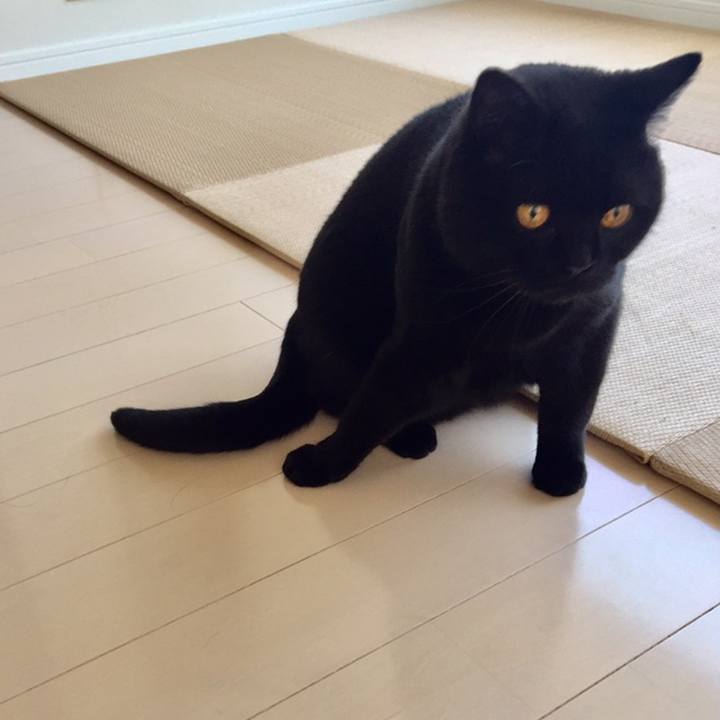 89148c77 bc18 4deb ba0b 5a0af9320d76 1558578741335