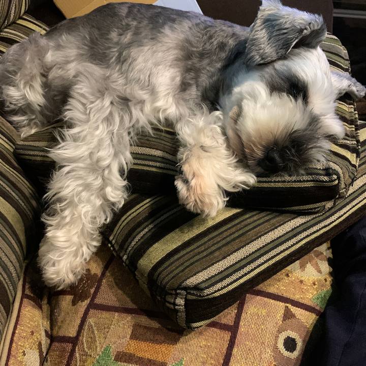 89148d5f 53c7 4558 82e4 24c7332f35cd 1628997922283