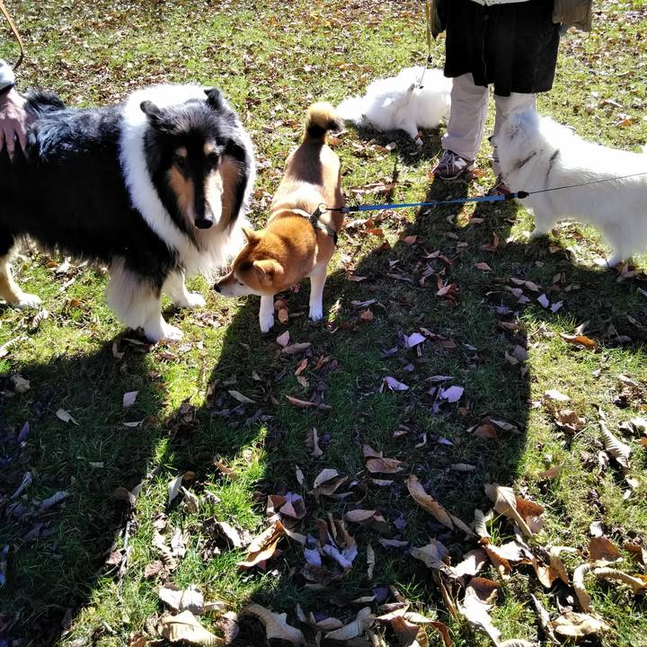 89149429 98c9 4e2e beab 3944a87dcbf5 1511507562204