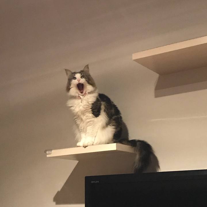 8914bf3f 2deb 480d a30d 1141d9d94eb4 1523629623829