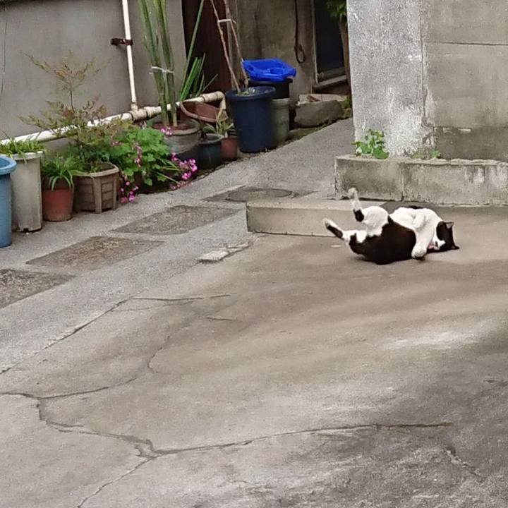 8914c89e a015 49c3 9de9 6e59588e4967 1618906437288