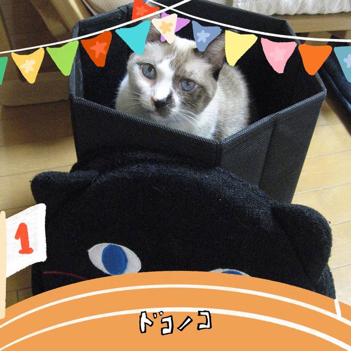 8914cc12 e668 4acf 9fe5 f52b88d45f68 1761991805697